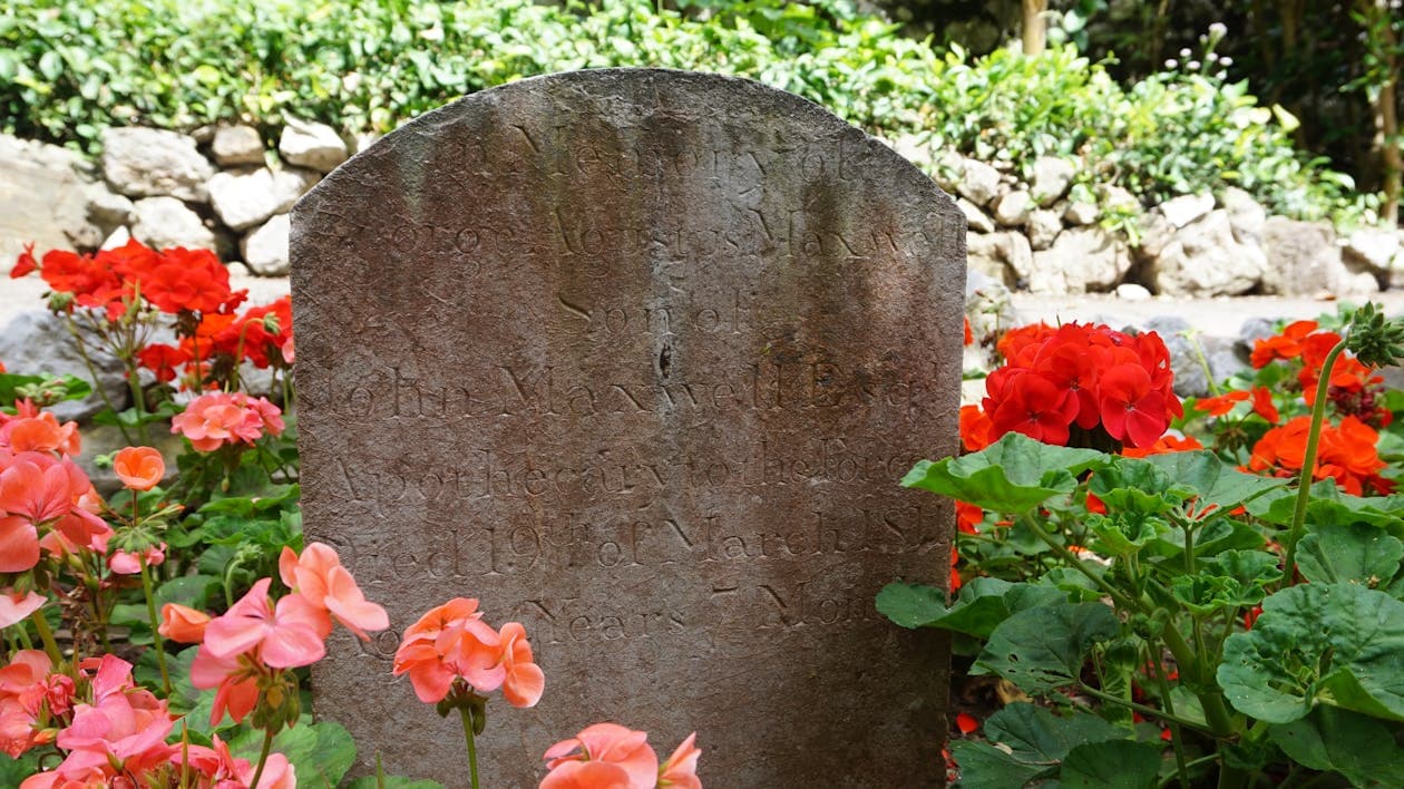 Local SEO in Chandler, AZ: What It Takes to Show Up First in 2026