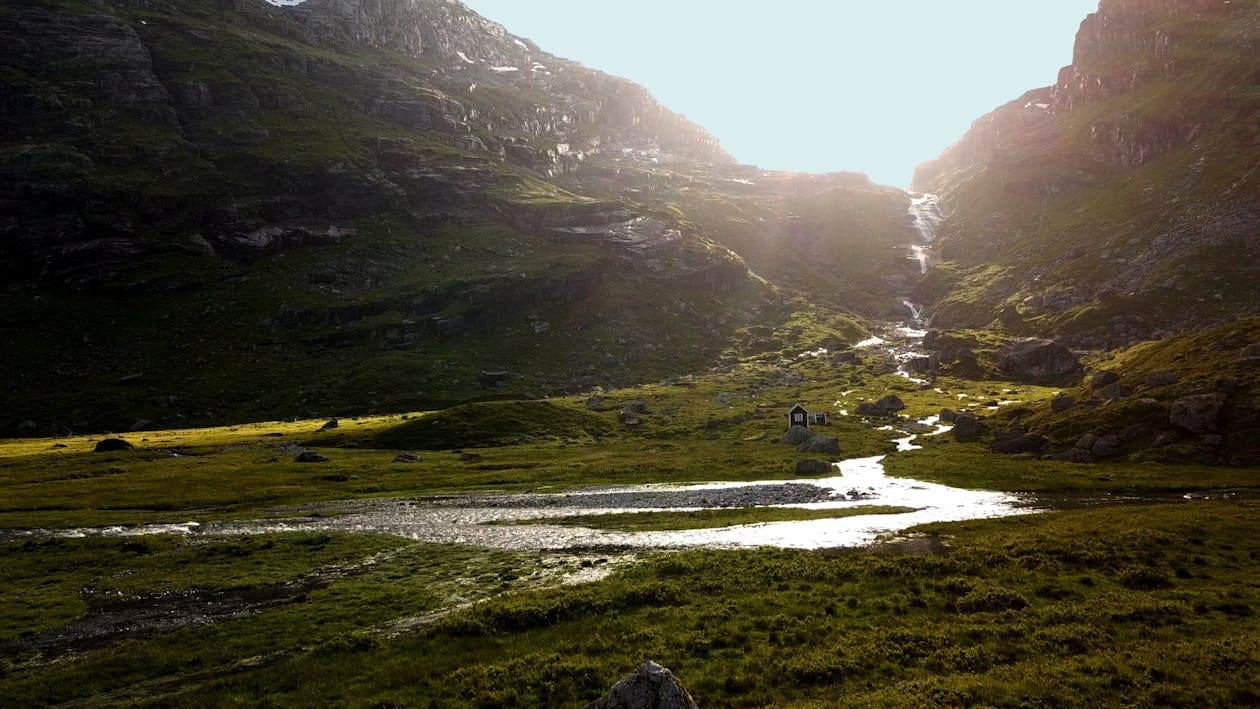 Local SEO in Charleston, SC: What It Takes to Show Up First in 2026