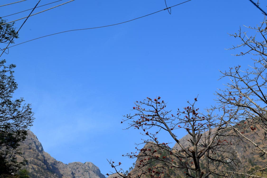 Local SEO in Jersey City, NJ: What It Takes to Show Up First in 2026