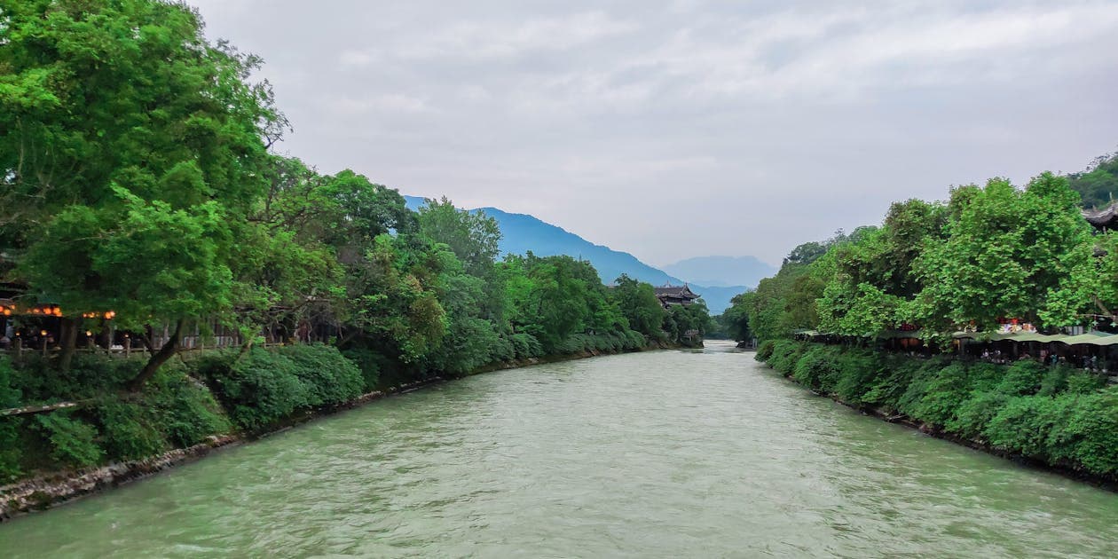 Local SEO in Newark, NJ: What It Takes to Show Up First in 2026