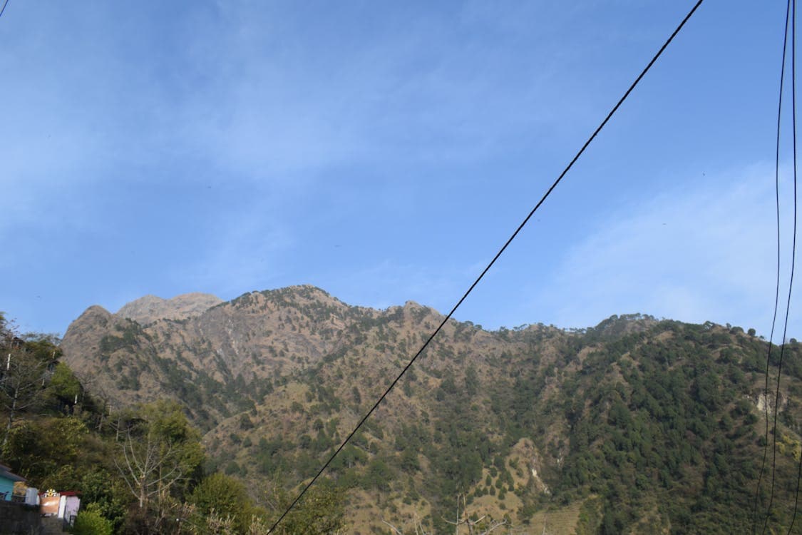 Local SEO in Salt Lake City, UT: What It Takes to Show Up First in 2026