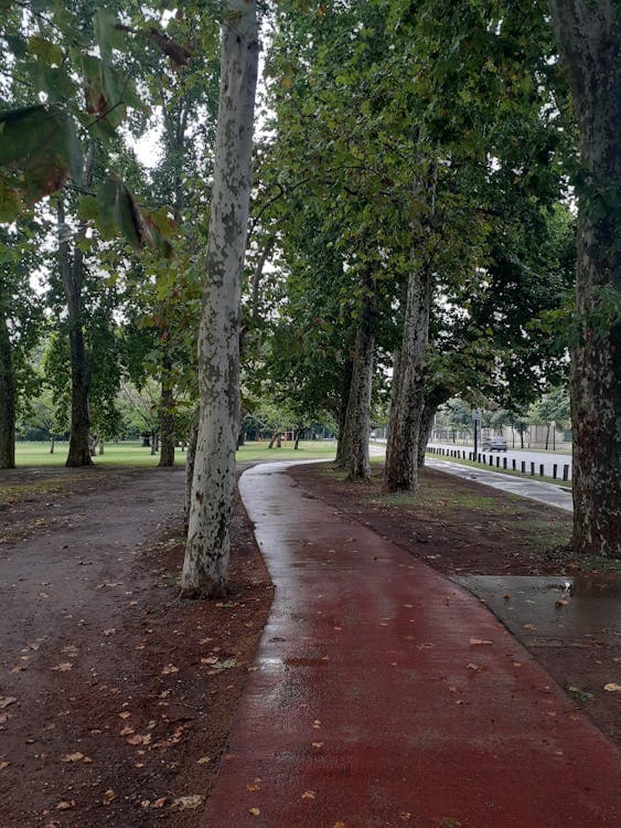 Local SEO in St. Paul, MN: What It Takes to Show Up First in 2026