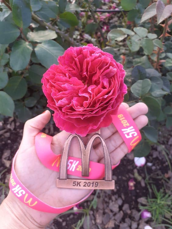 Local SEO in Grand Rapids, MI: What It Takes to Show Up First in 2026