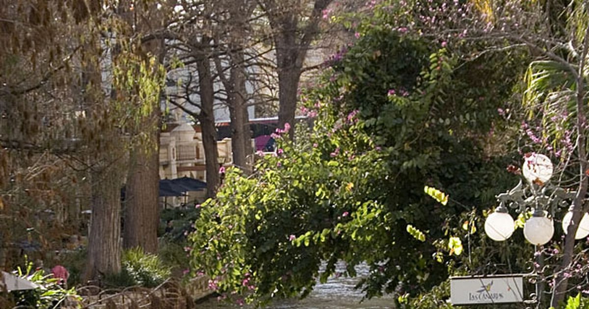 Local SEO in San Antonio, TX: What It Takes to Show Up First in 2026