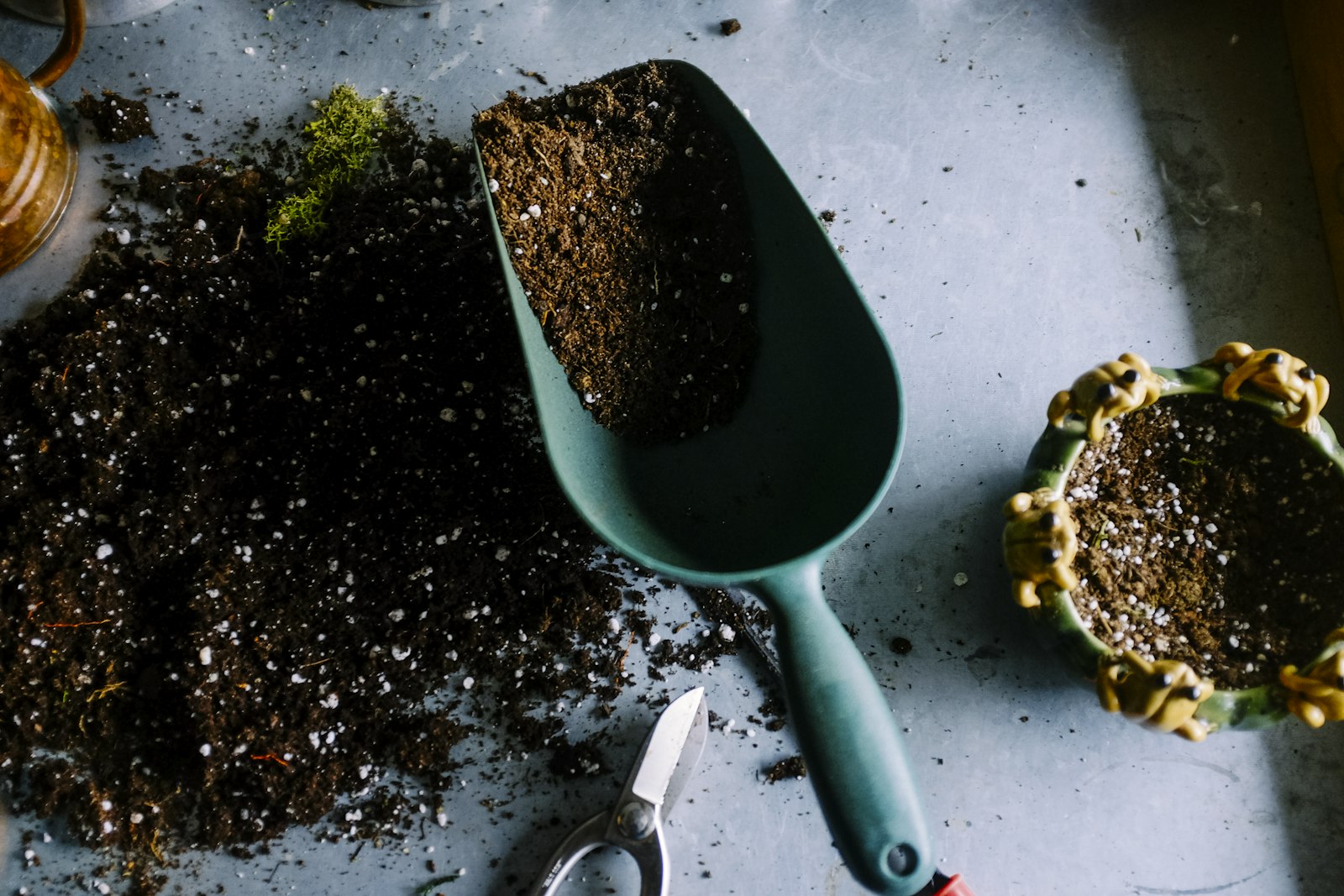 Design that starts with the soil, not the catalog