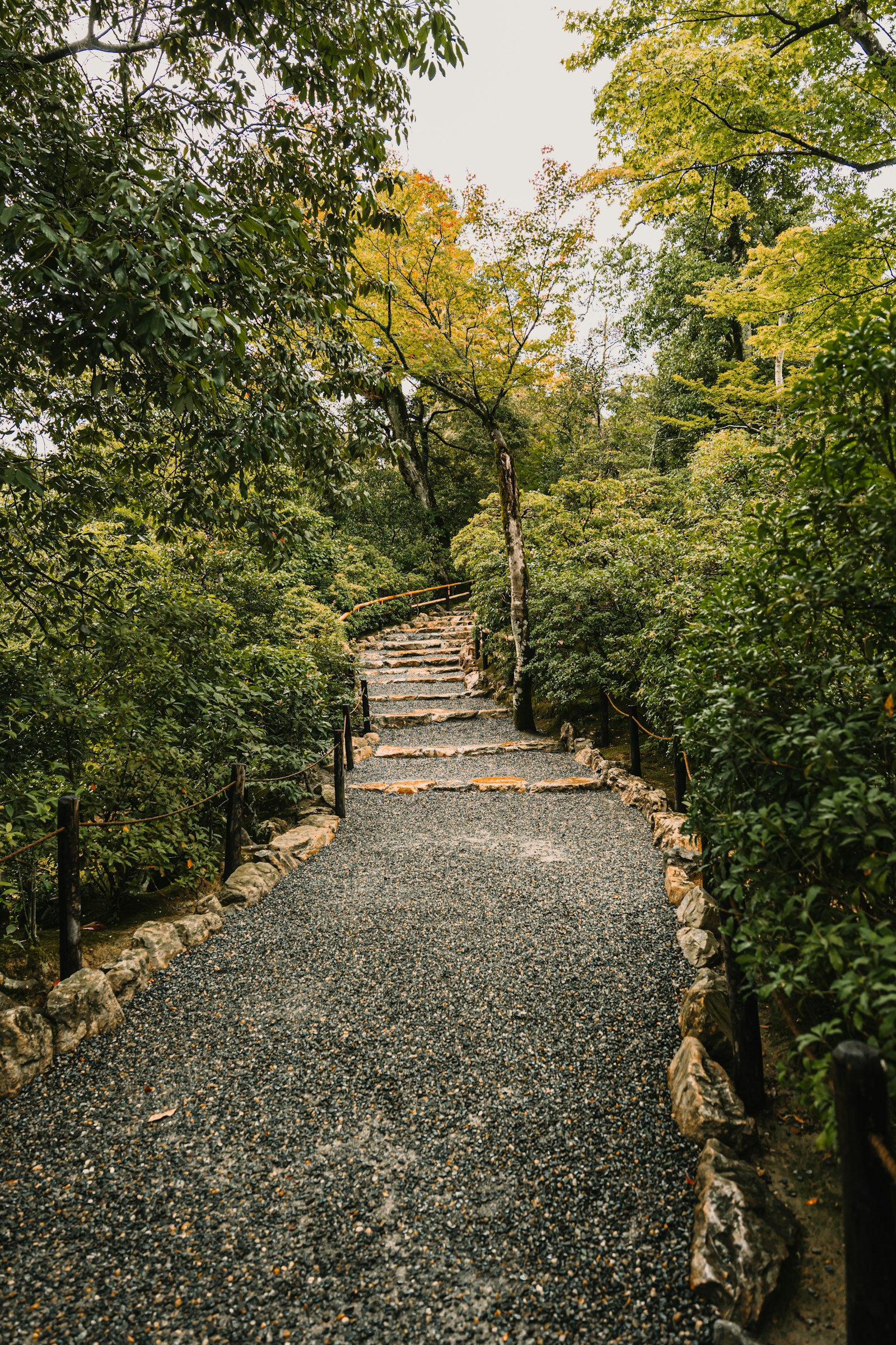 St. Louis Park Shade Garden